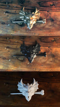 Pique a cheveux dragon crane gothique version alternative - vue principale - OtterCraft
