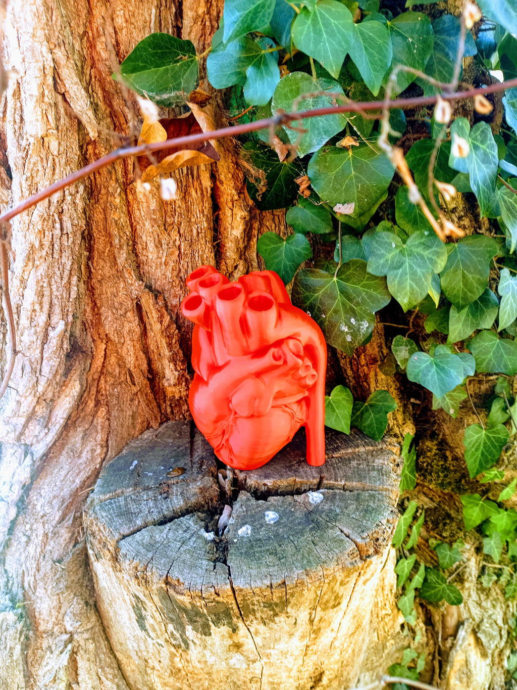 Coeur anatomique sculpture - detail realiste - OtterCraft